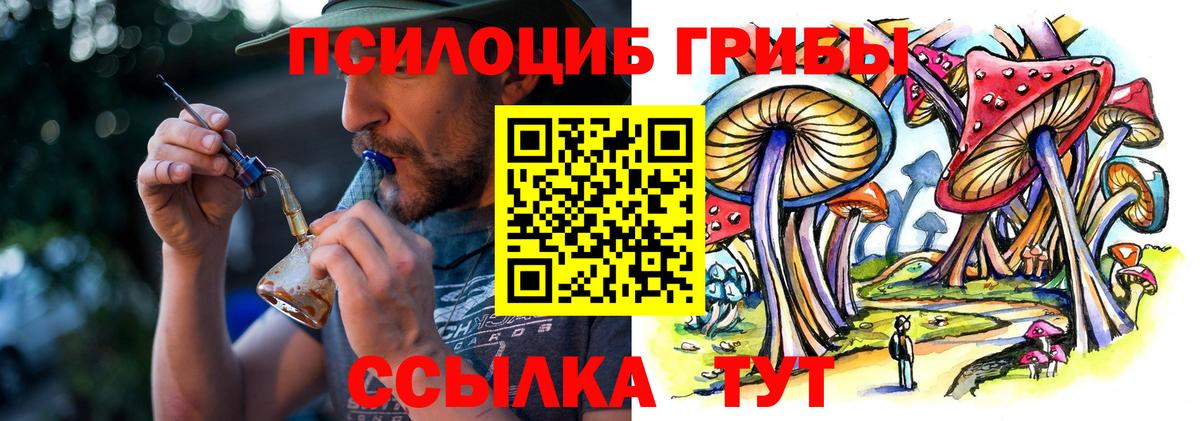 Галлюциногенные грибы Psilocybe Острогожск
