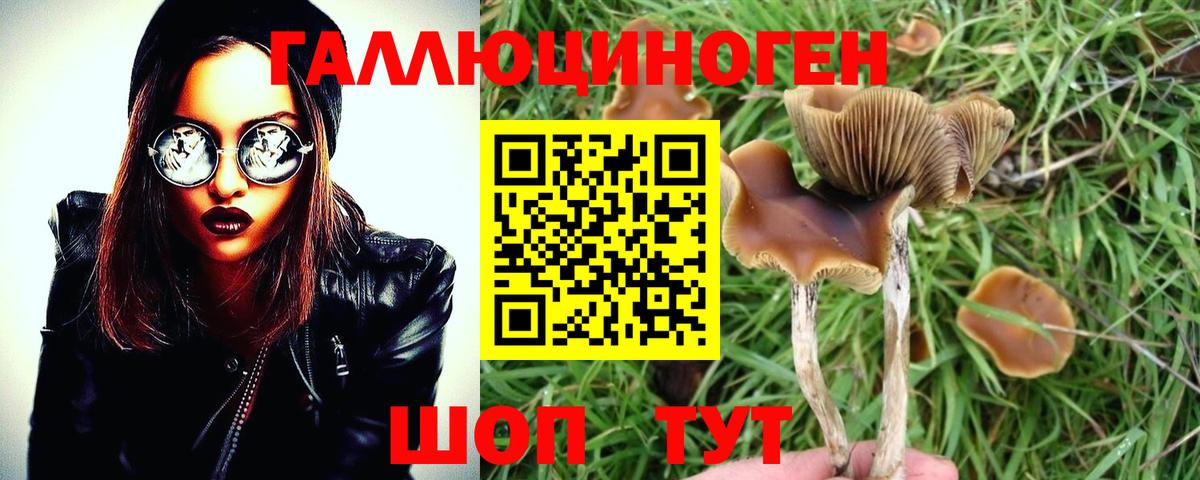 Псилоцибиновые грибы мухоморы  Вход с VPN  Острогожск  Галлюциногенные грибы мухоморы 